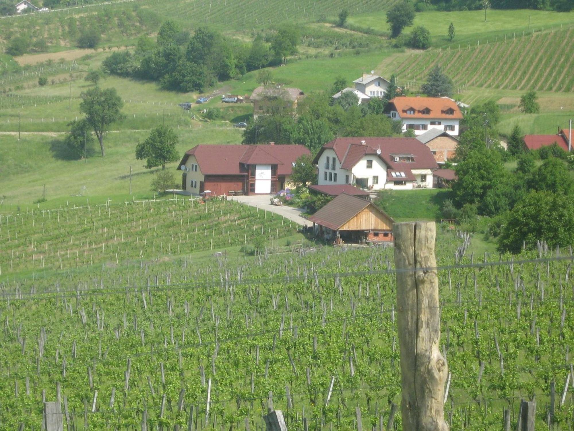 Tourist Farm Joannes Hotel Maribor Kültér fotó